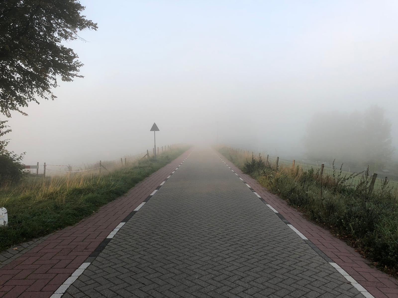 Vreeswijk mist