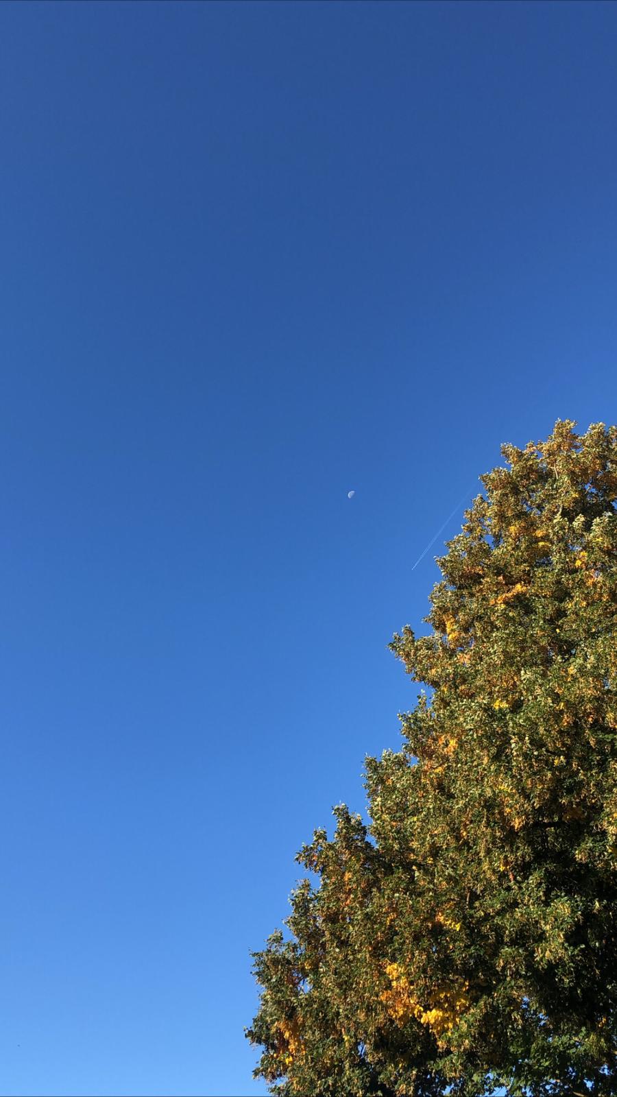 Blauwe lucht en de maan