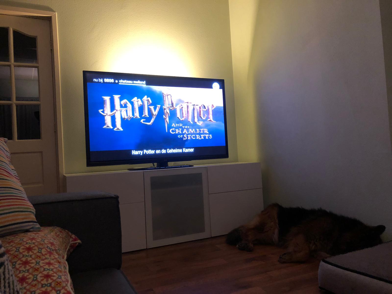 Harry Potter en de geheime kamer