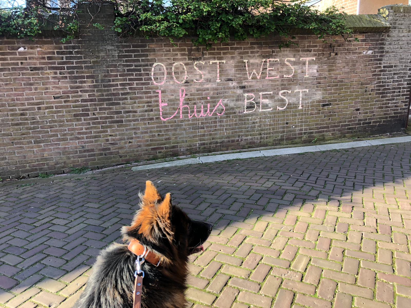 Oost west thuis best